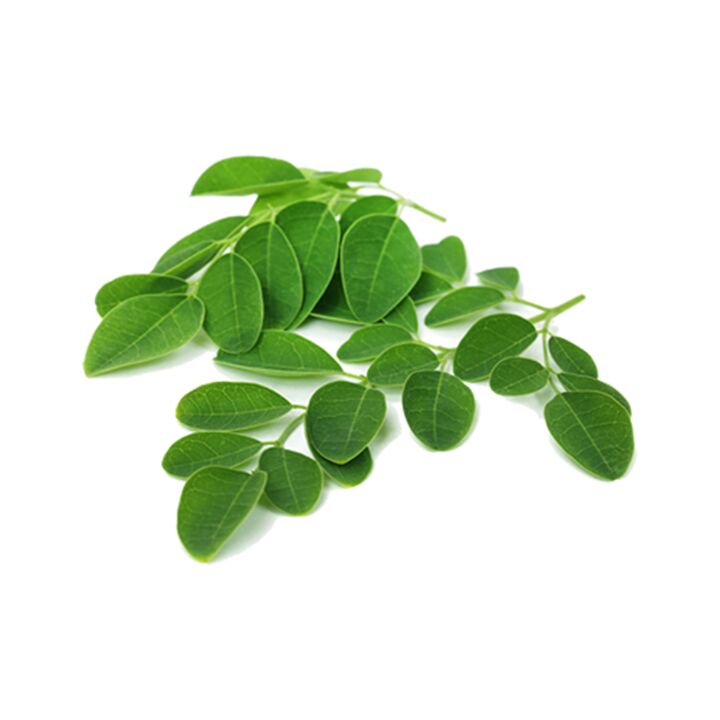 Normadex contén follas de moringa - un remedio natural eficaz contra parasitos